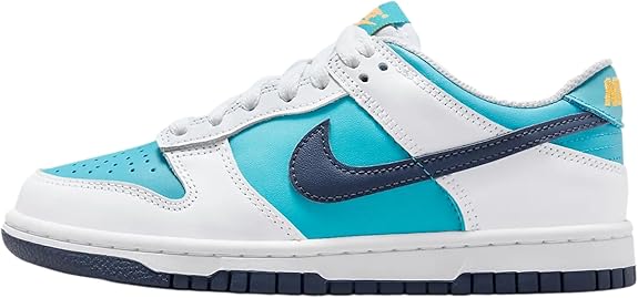 Big Kid's Nike Dunk Low BG Dusty Cactus/Thunder Blue (HF4794 345)