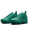Women's Nike Air Vapormax Plus Bicoastal/Chrome (HF5048 361)