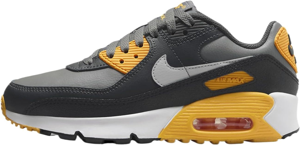 Big Kid's Nike Air Max 90 Smoke Grey/ Lt Smoke Grey (HF6358 004)