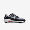 Big Kid's Nike Air Max 90 Wolf Grey/White-Cool Grey (HF6358 007)