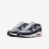 Big Kid's Nike Air Max 90 Wolf Grey/White-Cool Grey (HF6358 007)