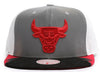 Mitchell & Ness Grey/White NBA Chicago Bulls Day 5 Snapback Hat - OSFA