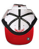 Mitchell & Ness Grey/White NBA Chicago Bulls Day 5 Snapback Hat - OSFA