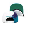 Mitchell & Ness White/Teal/Purple NBA Charlotte Hornets Paintbrush HWC Snapback - OSFA