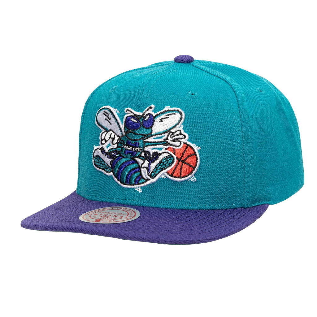 Mitchell & Ness Teal/Purple NBA Charlotte Hornets Team 2 Tone 2.0 HWC Snapback - OSFA