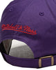 Mitchell & Ness Purple/Red NBA Toronto Raptors 2 Tone HWC Strapback - OS