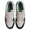 Men's Nike Dunk Low Lt Orewood Brown/Bicoastal (HQ3483 104)