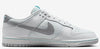 Men's Nike Dunk Low Retro SE Summit White/Metallic Silver (HQ3619 121)