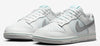 Men's Nike Dunk Low Retro SE Summit White/Metallic Silver (HQ3619 121)