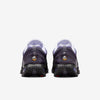 Women's Nike Air Max DN Dark Raisin/Amethyst Tint (HQ4050 500)