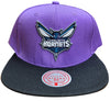Men's Mitchell & Ness Purple/Black NBA Charlotte Hornets Easter Snapback - OSFA