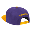 Mitchell & Ness Purple/Gold NBA Los Angeles Lakers Wool 2 Tone HWC Snapback - OSFA
