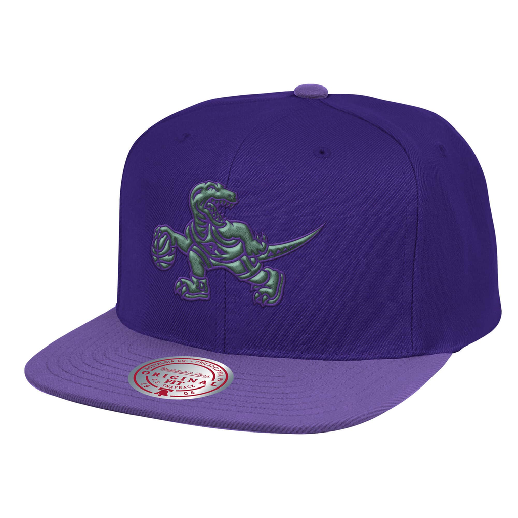 Mitchell & Ness Purple NBA Toronto Raptors Purple Haze HWC Snapback - OSFA