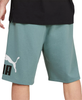 Men's Puma Mineral Blue Big Fleece Logo 10 Shorts