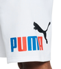 Men's Puma White Big Fleece Logo 10 Shorts