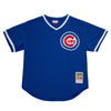 Mitchell & Ness Royal Blue MLB Chicago Cubs Ryne Sandberg 1984 Pullover Jersey