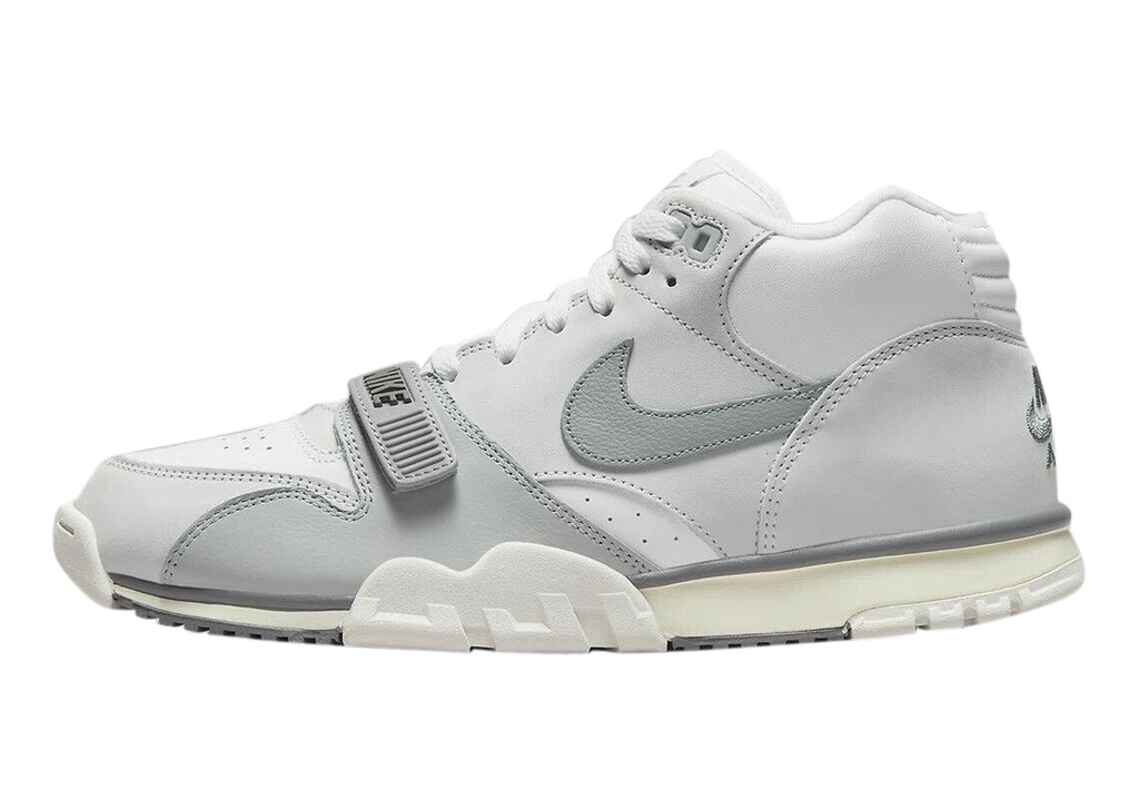 Men's Nike Air Trainer 1 Photon Dust/Lt Smoke Grey (DM0521 001)