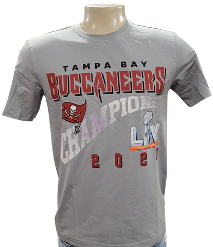 Pro Standard Gray NFL Tampa Bay Buccaneers Pro Team T-Shirt