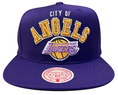 Men's Mitchell & Ness Purple NBA Los Angeles Lakers ZZ HWC Snapback - OSFA