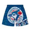 Mitchell & Ness Blue/White Toronto Blue Jays Jumbotron 2.0 Sublimated Shorts