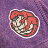 Mitchell & Ness Purple NBA Toronto Raptors Quintessential Acid Wash Shorts