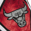 Mitchell & Ness Red NBA Chicago Bulls 1997-98 Galaxy Swingman Shorts