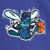 Men's Mitchell & Ness Teal NBA Charlotte Hornets Play By Play 2.0 S/S T-Shirt